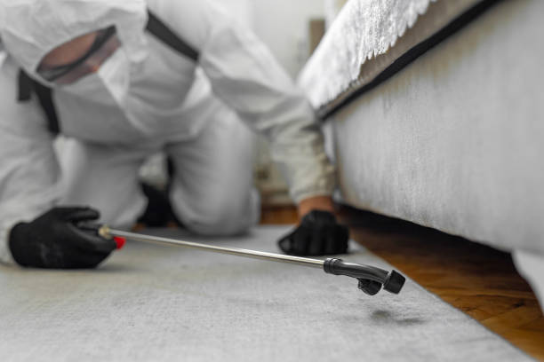Professional Bed Bug Control technician working in Rio Vista, CA
